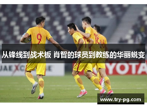 从锋线到战术板 肖智的球员到教练的华丽蜕变