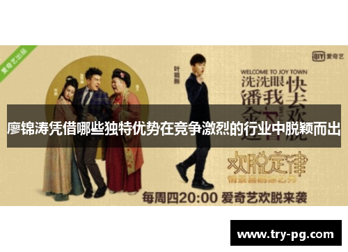 廖锦涛凭借哪些独特优势在竞争激烈的行业中脱颖而出