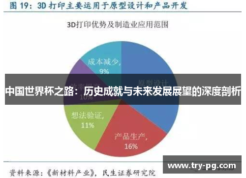 中国世界杯之路：历史成就与未来发展展望的深度剖析