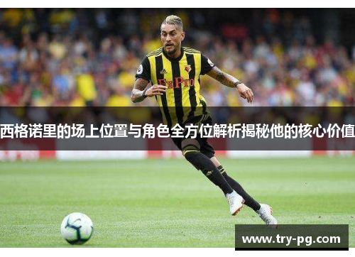 西格诺里的场上位置与角色全方位解析揭秘他的核心价值