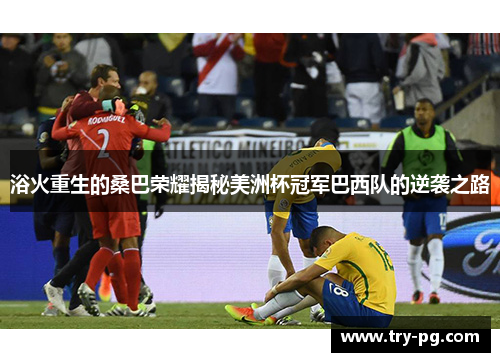 浴火重生的桑巴荣耀揭秘美洲杯冠军巴西队的逆袭之路