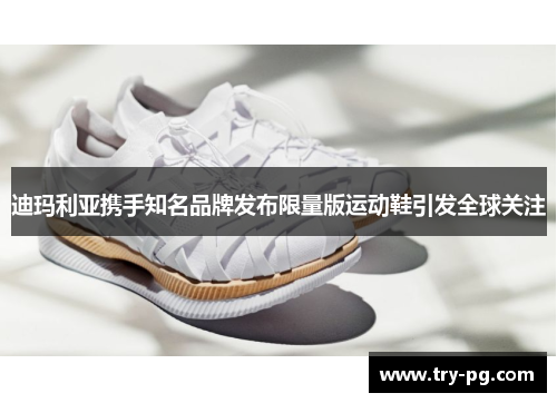 迪玛利亚携手知名品牌发布限量版运动鞋引发全球关注 迪玛利亚携手知名品牌发布限量版运动鞋引发全球关注