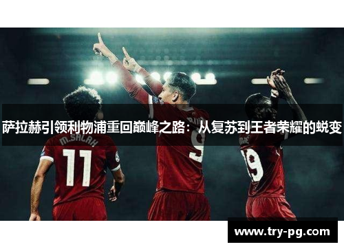 萨拉赫引领利物浦重回巅峰之路：从复苏到王者荣耀的蜕变