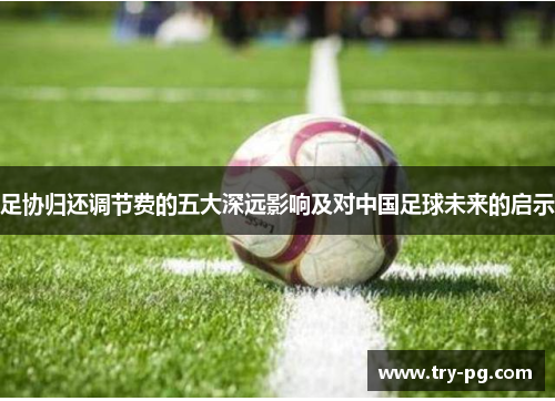 足协归还调节费的五大深远影响及对中国足球未来的启示 足协归还调节费的五大深远影响及对中国足球未来的启示