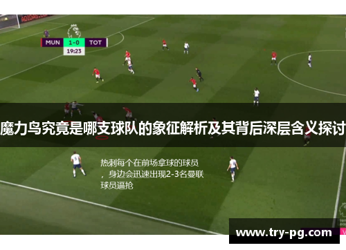 魔力鸟究竟是哪支球队的象征解析及其背后深层含义探讨