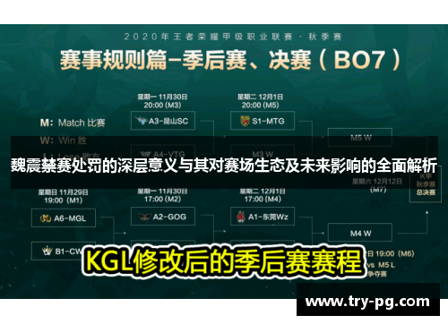 魏震禁赛处罚的深层意义与其对赛场生态及未来影响的全面解析